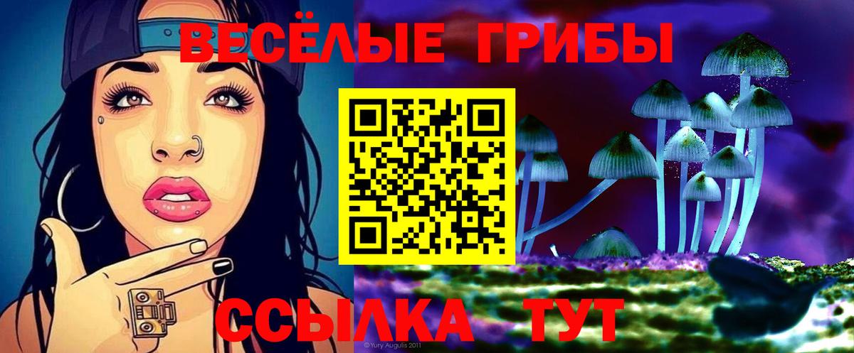 Псилоцибиновые грибы ЛСД  Вход с VPN  Зерноград 